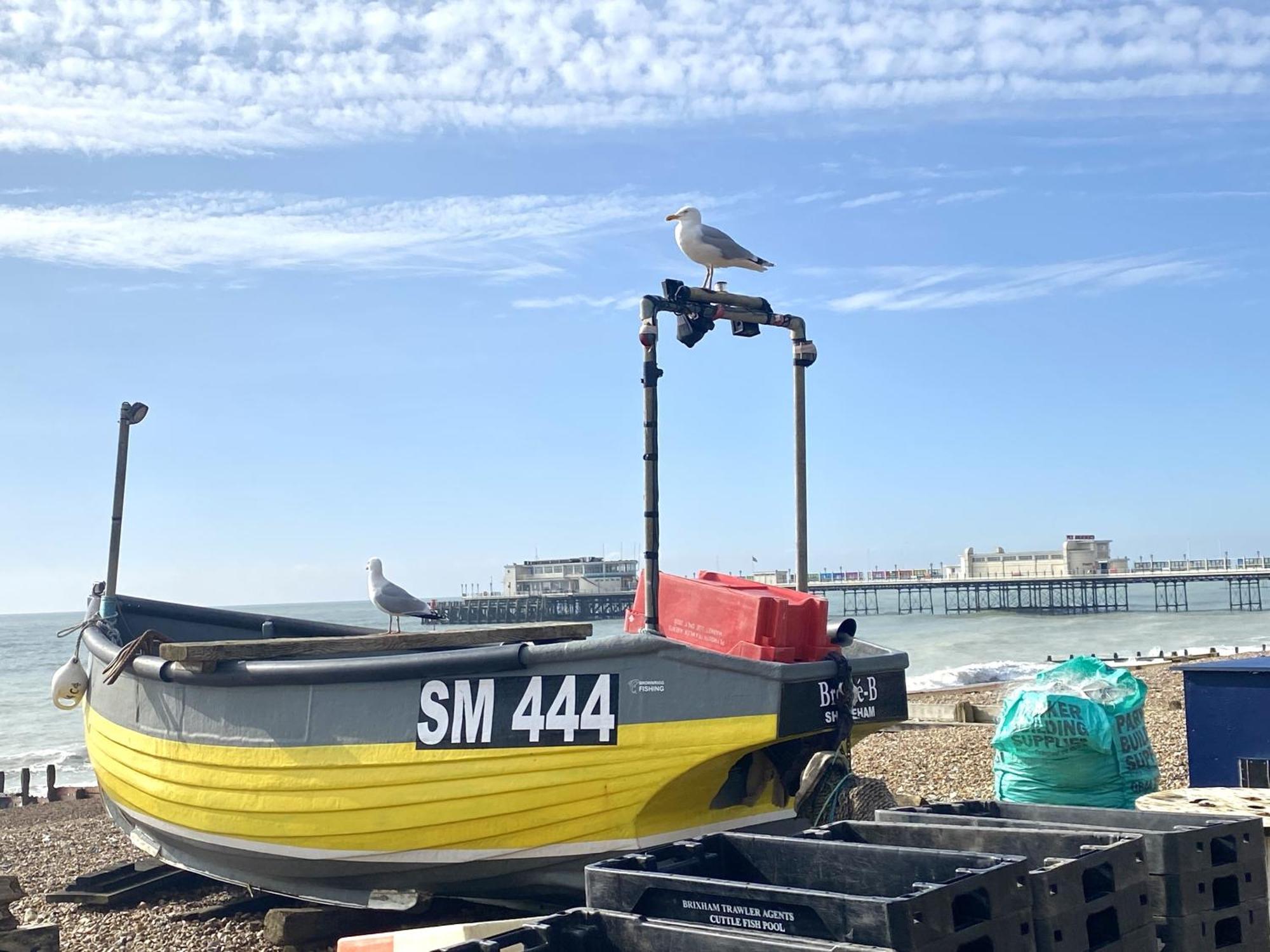 Stunning 2 Bed Apartment Sea Views And Parking Worthing Eksteriør bilde